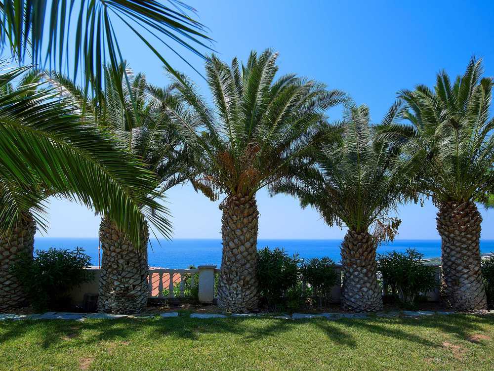 Aroma Creta Hotel Koutsounari Interiør billede